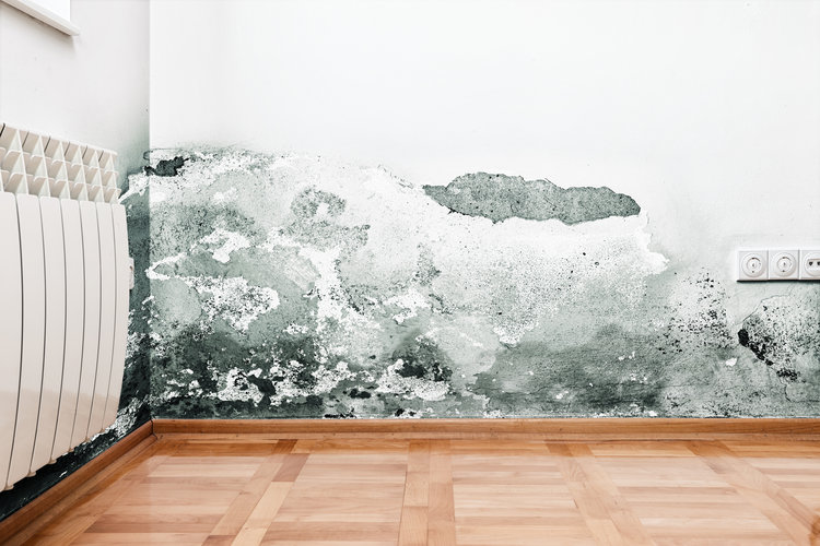 How to File an Insurance Claim for Water Damage