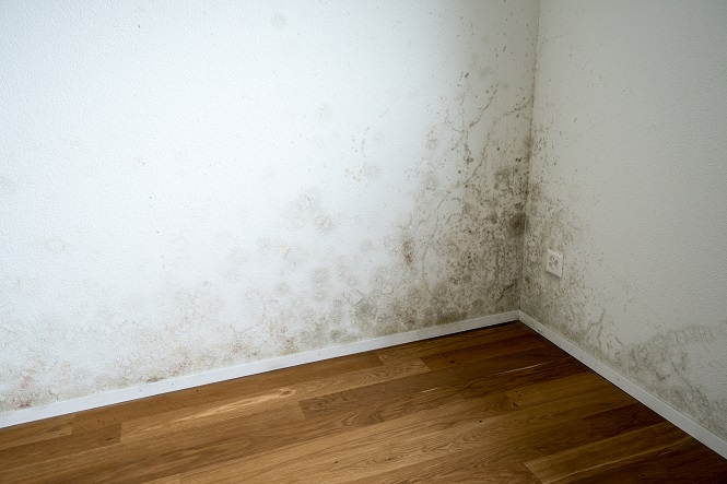 A Correlation between Air Ventilation and Mold